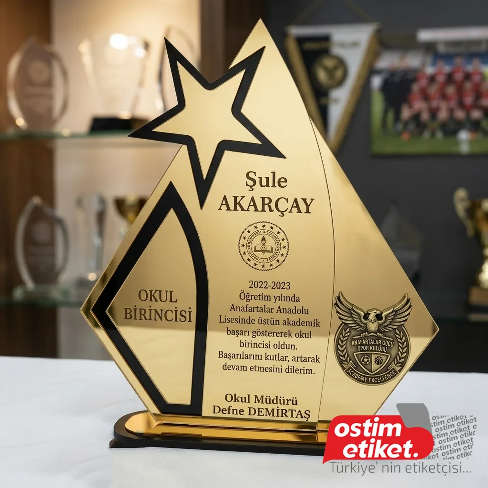 Pleksi Plaket ve Ödüller