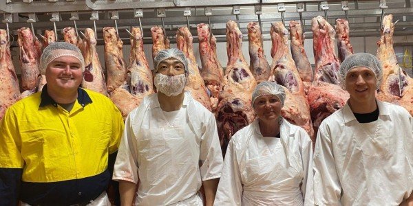 Unser Erfahrungsbericht: Beef Casino Online - ist einzahlungsfrei Bonus sicher?